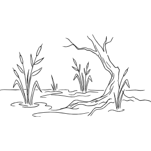 Leonardo Dri myu 4 palude