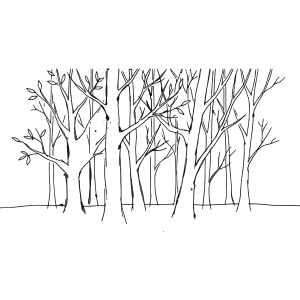 Leonardo Dri myu 5 foresta